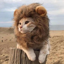 Load image into Gallery viewer, Pet Hair Headgear For Small Dog And Cats, Mane Wig Puppy Costume