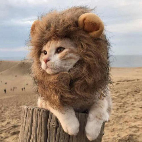 Pet Hair Headgear For Small Dog And Cats, Mane Wig Puppy Costume