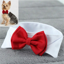 Load image into Gallery viewer, Fashion Adjustable Pet Bows Puppy Kitten Dogs Cat Tie-Collar Necktie Bowknot Clothes For Pets Dog Cat New Strap Styling New