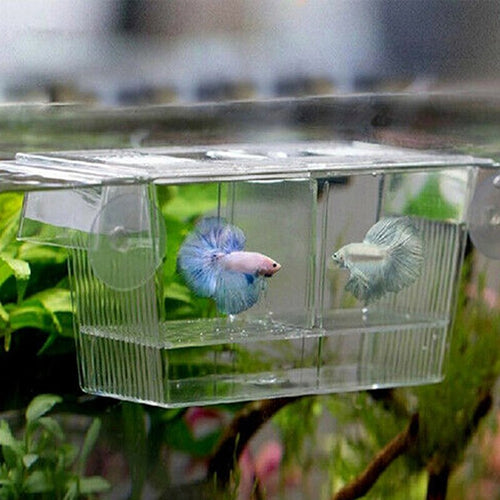 New Home Fish Pet Supplies Acrylic Fish Breeding Isolation Tank Aquarium Breeder Box Double Guppies Hatching Incubator Aquarium