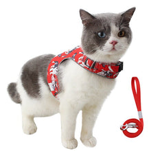 Load image into Gallery viewer, New Cat Dog Harness and Leash Set 2020 Mascotas Polyester Reflective Cat Vest Walking Lightweight Escape Proof Harness Leash Set