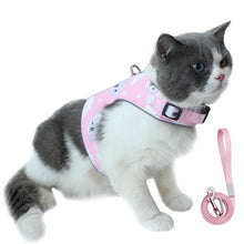 Load image into Gallery viewer, New Cat Dog Harness and Leash Set 2020 Mascotas Polyester Reflective Cat Vest Walking Lightweight Escape Proof Harness Leash Set
