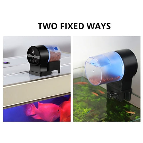 Automatic Feeder Aquarium Goldfish Smart Timing Auto Fish Feeder Timer Food Feeding 8/12/24 hours Timer Feeding koi