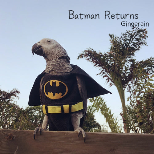 Gingerain Bird clothes Parrot diaper Black bat original hand-made custom bird clothes Black bat