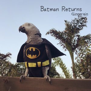 Gingerain Bird clothes Parrot diaper Black bat original hand-made custom bird clothes Black bat